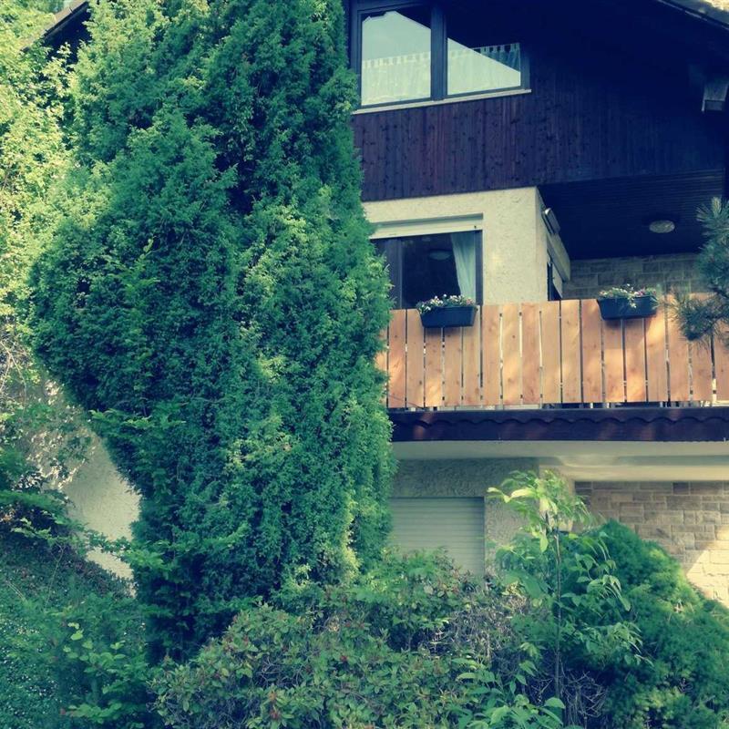 Ferielejlighed - 5 personer -  - Wochenendstrasse - 34549 - Edertal / Bringhausen