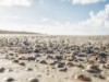 Bild 45