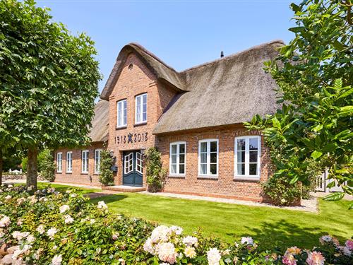 Sommerhus - 8 personer -  - Buurnstrat - 25938 - Oevenum