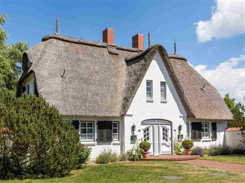 Sommerhus - 3 personer -  - Friesenstraße - 25826 - St. Peter-Ording