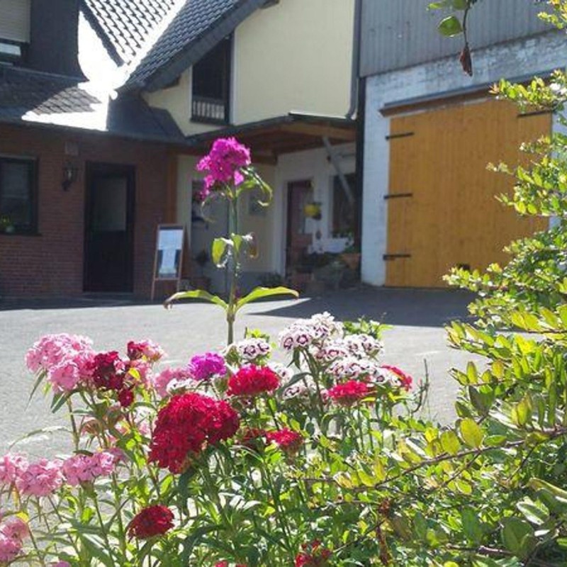 Ferielejlighed - 3 personer -  - Junkersholz - 42799 - Leichlingen