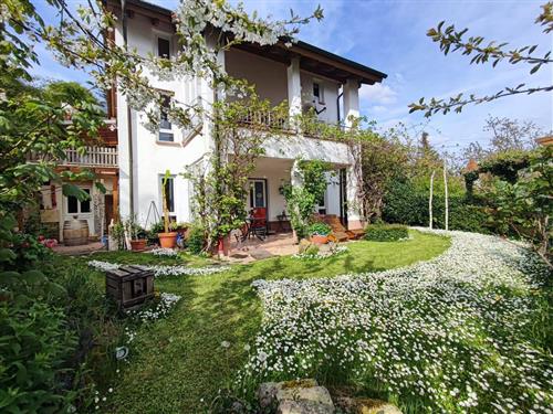 Ferielejlighed - 3 personer -  - An der Halde - 76829 - Leinsweiler