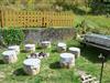 Bild 16