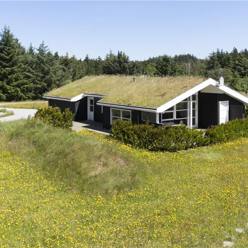 Ferienhaus - 6 Personen -  - Bondagervej - 9493 - Saltum