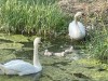 Bild 16