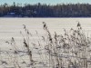 Bilde 27 - Inne