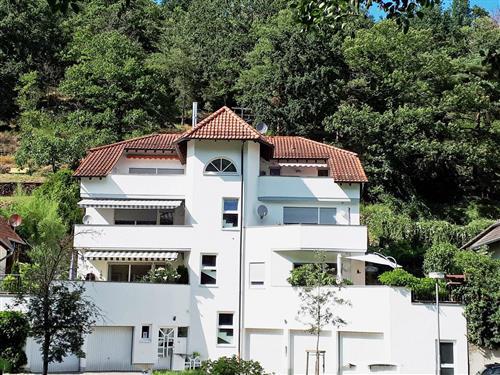 Holiday apartment - 6 persons -  - Bürklin-Wolf-Str. - 67157 - Wachenheim An Der Weinstr