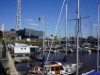 Billede 4