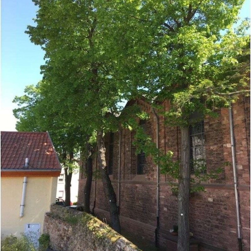 Sommerhus - 4 personer -  - 55246 - Mainz-Kostheim