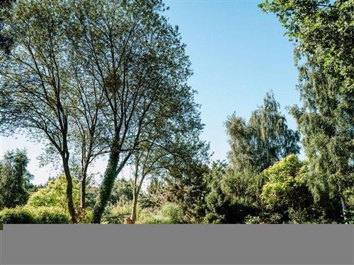 Ferieleilighet - 7 personer -  - Friedhofstraße - 01454 - Radeberg