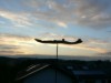 Bilde 8