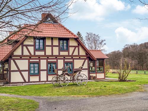 Ferienwohnung - 5 Personen -  - Teschenhagen - Sehlen Auf Rügen - 18528 - Sehlen