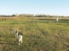 Image 14