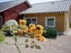 Bild 36