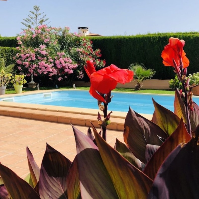 Sommerhus - 4 personer -  - 07680 - Porto Cristo \/ Cala Anguila