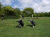 Image 24