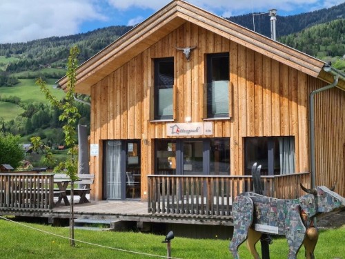 Chalet - 9 personer -  - 8861 - St. Georgen Am Kreischberg