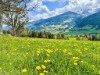 Bild 24 - Aussen