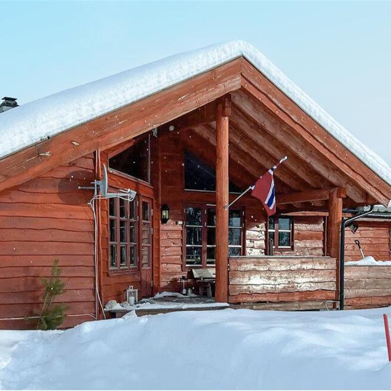 Sommerhus - 13 personer -  - Kruskefur vegen - Hallbjønnsekken - 3880 - Dalen