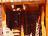 Image 4 - Outside