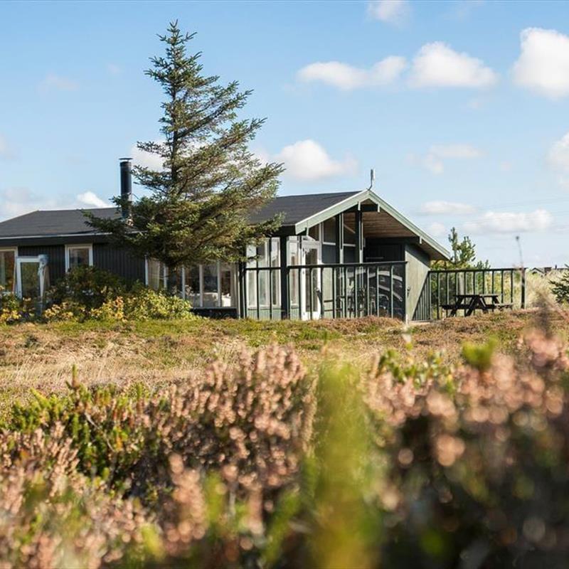 Ferienhaus - 4 Personen -  - Fladsbjergvej - Klegod - 6950 - Ringköbing