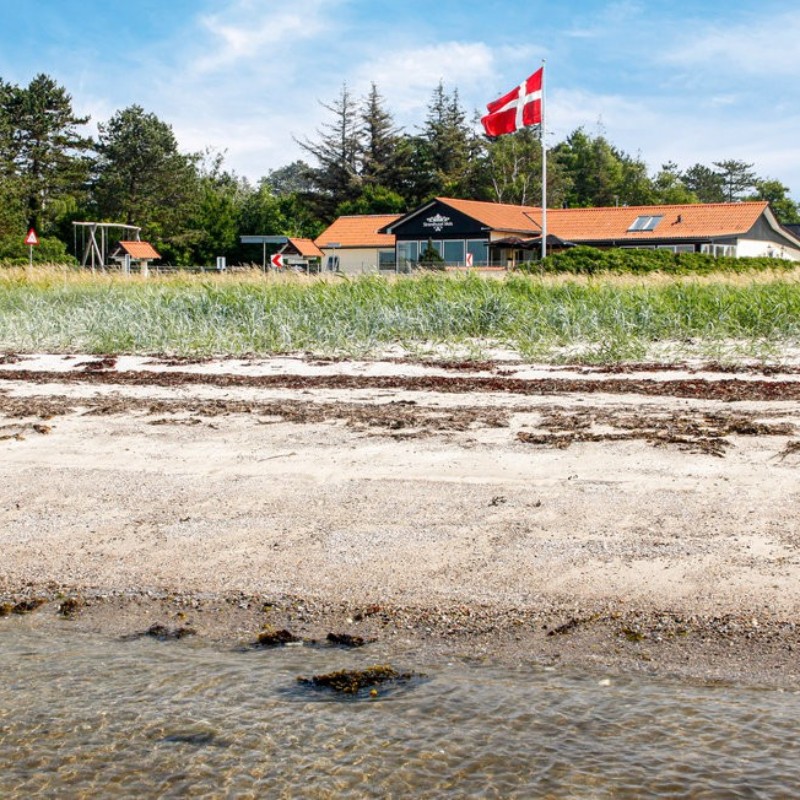 Ferienhaus - 24 Personen -  - Dragsmurvej - Dragsmur - 8420 - Knebel