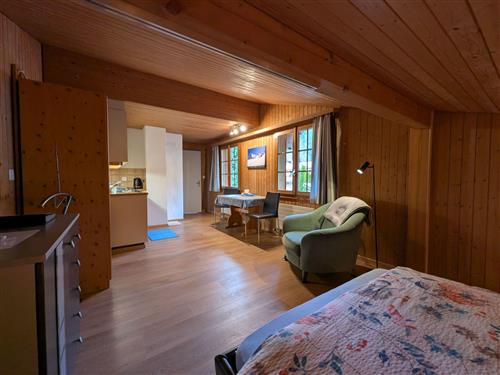 Holiday apartment - 1 person -  - Grindelwald - 3818