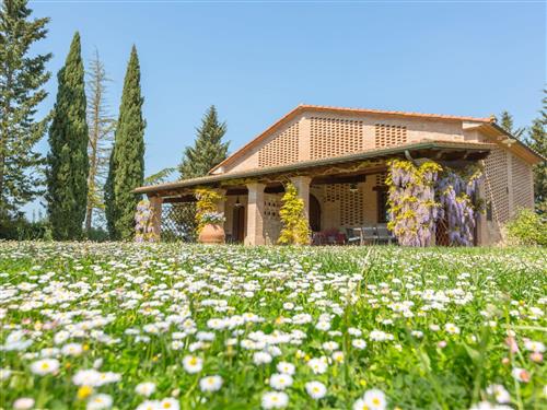 Ferieleilighet - 7 personer -  - Peccioli - 56037