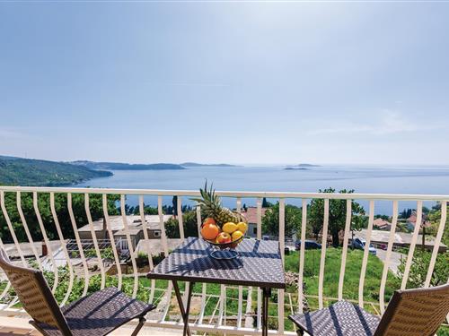 Holiday apartment - 6 persons -  - Grujica - Dubrovnik-Plat - 20207 - Plat