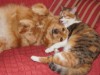 Bild 16