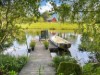 Bild 10