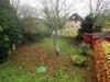 Bild 21