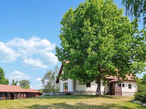 Sommerhus - 16 personer -  - Szalstry - 11-042 - Szalstry