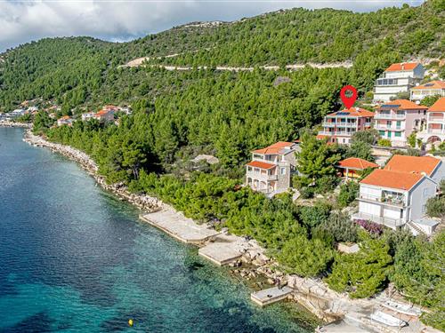 Holiday apartment - 4 persons -  - Karbuni-Zaglav bb - Korcula-Karbuni - 20271 - Karbuni