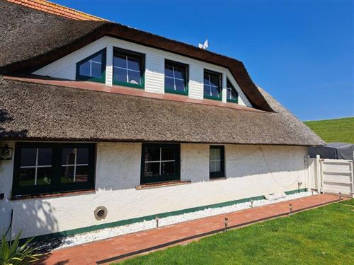 Ferielejlighed - 4 personer -  - Am Deich - 26969 - Butjadingen