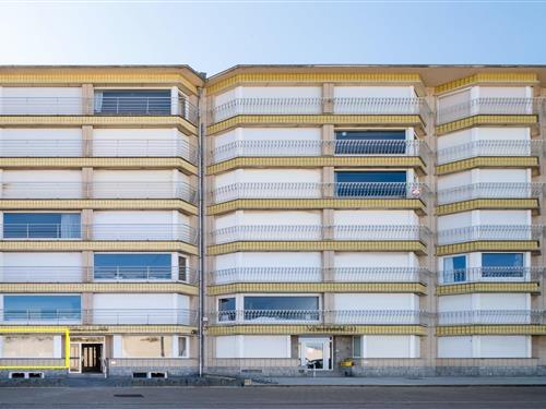 Semesterlägenhet - 6 personer -  - 8670 - Koksijde