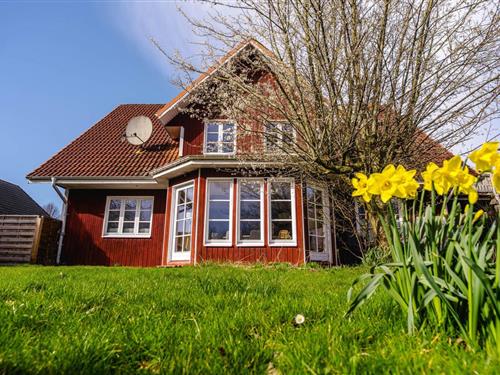 Ferielejlighed - 6 personer -  - Schleidörfer Straße - 24864 - Brodersby-Goltoft