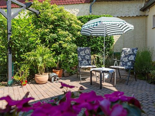 Ferieleilighet - 2 personer -  - Törten - 06849