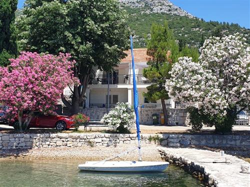 Holiday apartment - 4 persons -  - Viganj - 20250 - Orebic