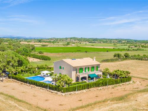 Holiday home - 12 persons -  - Ma- - Palmeral, Petra - 07520 - Petra