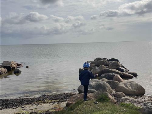 Ferienhaus - 6 Personen -  - Jægerskoven - 9560 - Hadsund
