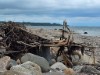 Image 39 - View of water