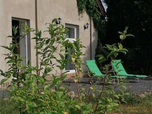 Holiday Home/Apartment - 7 persons -  - Dorfstraße - 19395 - Plau Am See