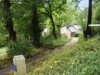 Image 24