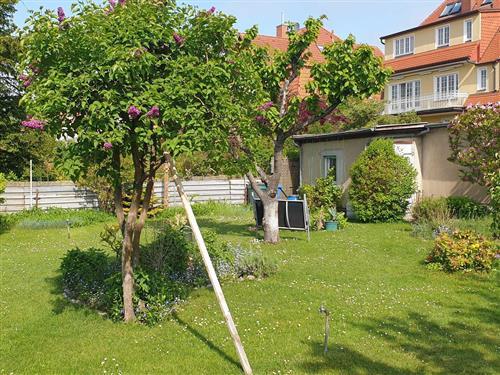 Holiday Home/Apartment - 2 persons -  - 80 Meter zum Strand - 18119 - Rostock / Warnemünde