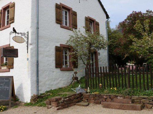 Holiday home - 6 persons -  - 54552 - Dreis-Brück, Germany