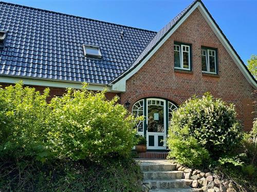 Ferienwohnung - 2 Personen -  - Böhler Weg - 25826 - Sankt Peter-Ording