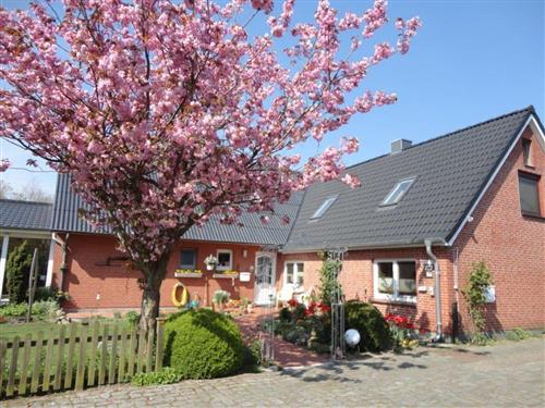 Ferielejlighed - 4 personer -  - Handewitter Straße - 24980 - Meyn