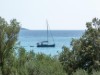Billede 31