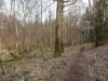 Image 24
